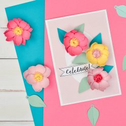 Pon af Coutney Chilson