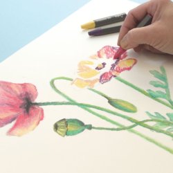 Sizzix - Oil Pastels