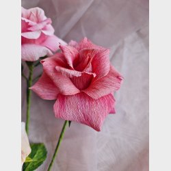 Klassik rose kit