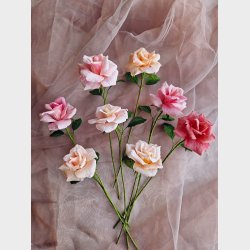 Klassik rose kit